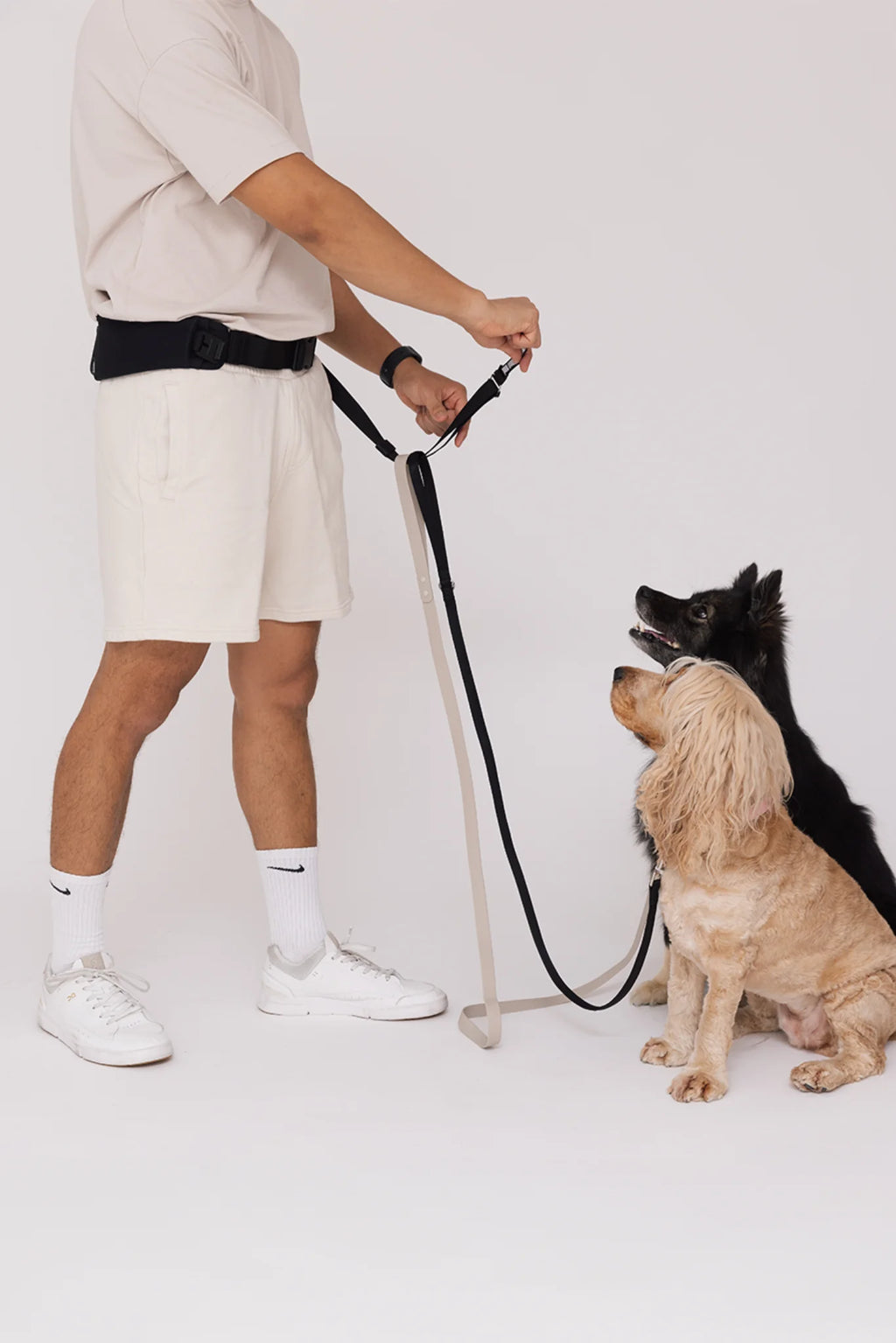 Hands-Free Dog Harness