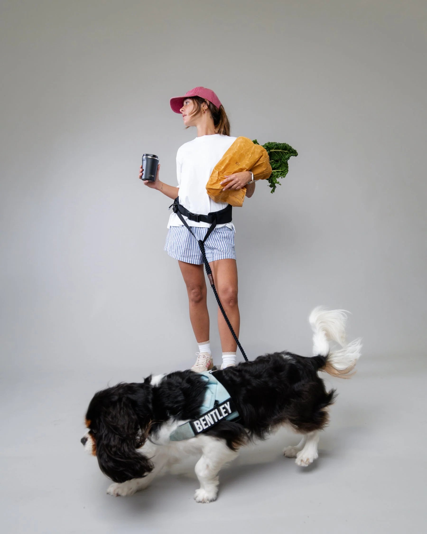 Hands-Free Dog Harness